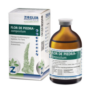 FLOR DE PIEDRA-compositum