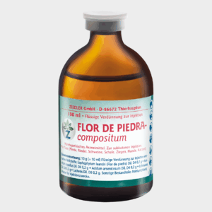 FLOR DE PIEDRA-compositum