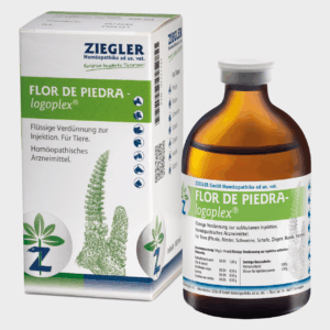 FLOR DE PIEDRA<span>-logoplex<sup>®</sup></span>