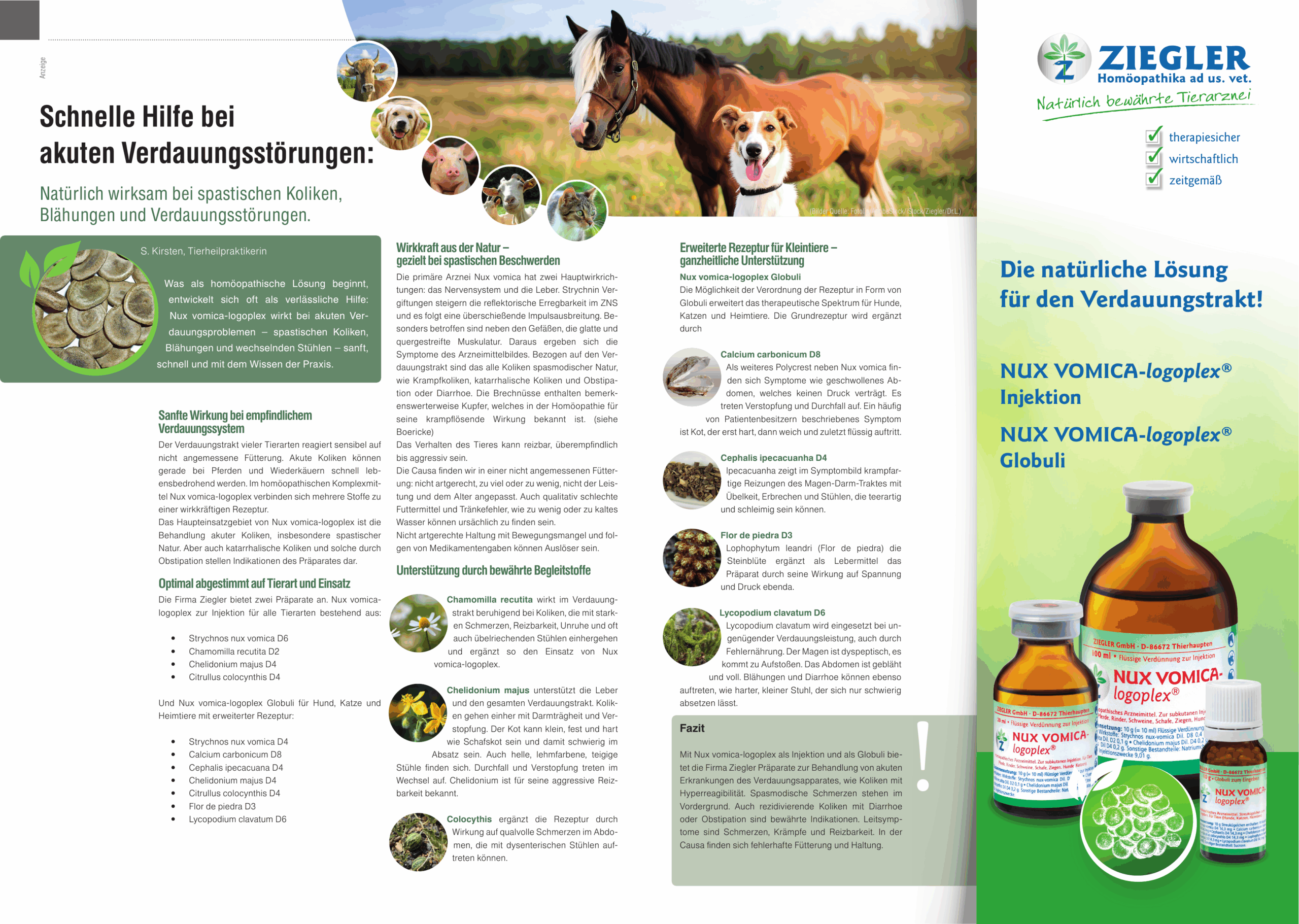 NUX_VOMICA_WDT_Advertorial (2)
