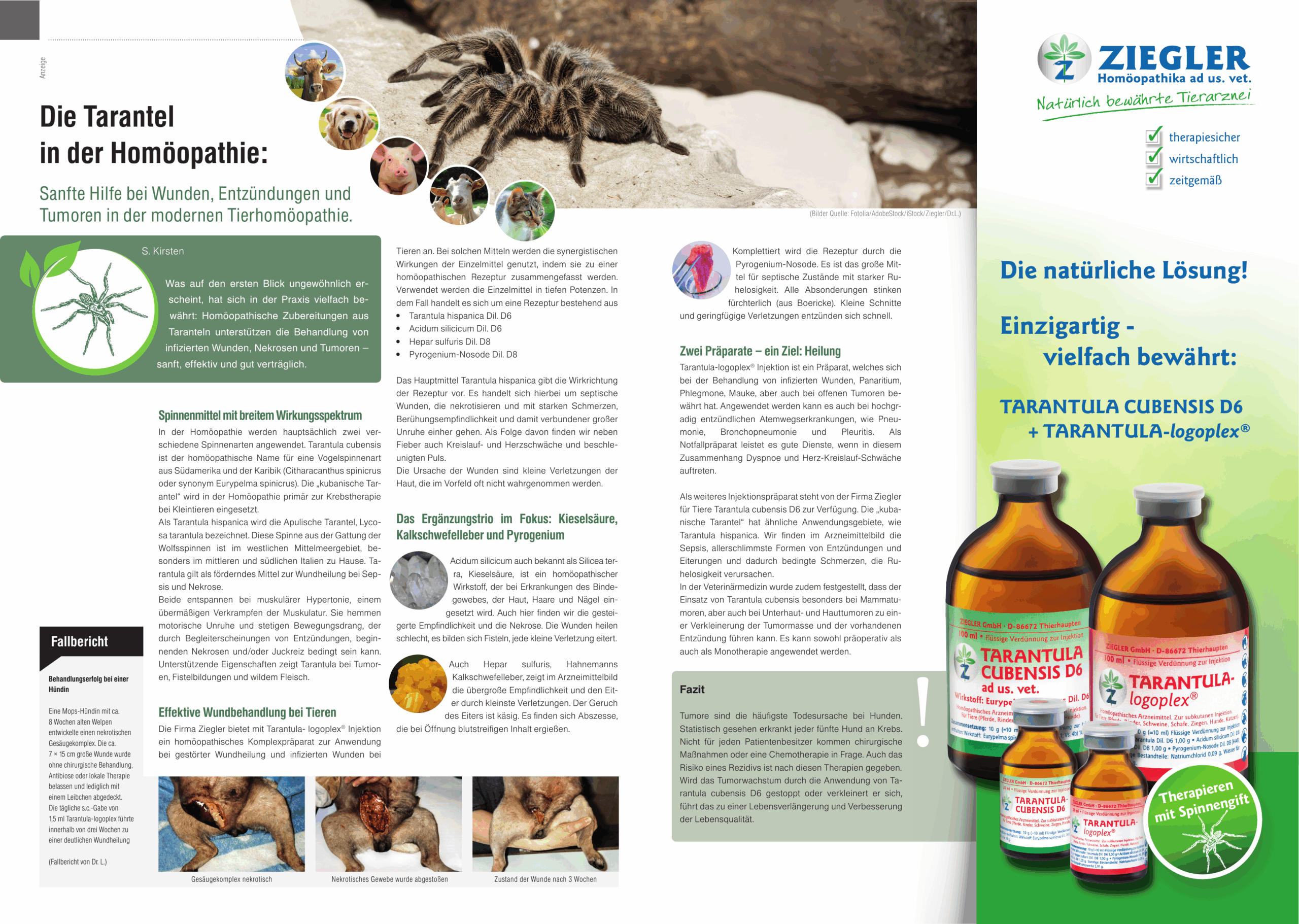 tarantula_advertorial