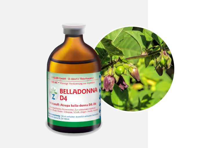 BELLADONNA D4