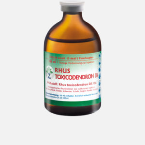 RHUS TOXICODENDRON D4